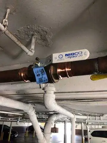 Copper pipe repair and valve work for Water Line Repair in Coastal Ridge